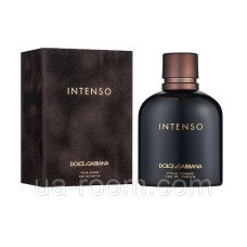 Чоловіча парфумована вода Dolce&Gabbana Intenso, 100 мл. (Elite)